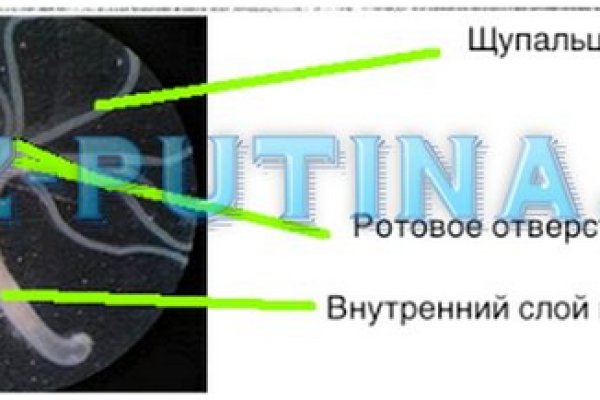 Кракен маркетплейс что там