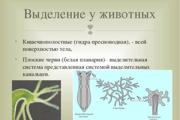 Что такое кракен тор