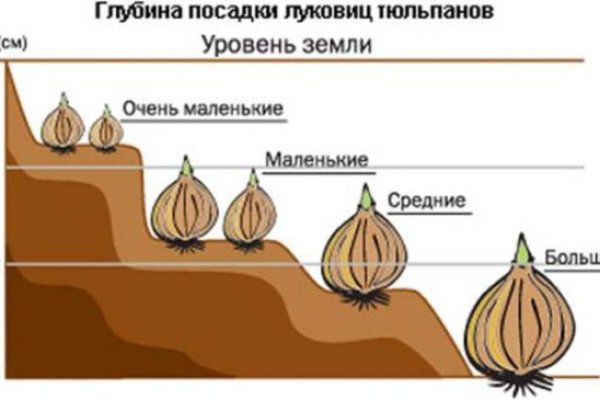 Кракен at сегодня работает ли