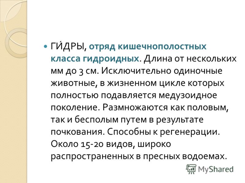 Кракен вход на сайт